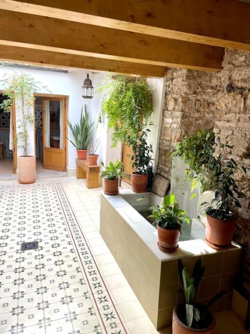 Apartamento En Casa Patio "Pan Y Conejo" Kordoba Zewnętrze zdjęcie